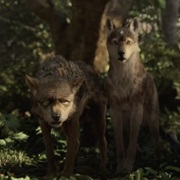 Wolves