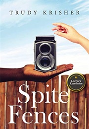 Spite Fences (Trudy Krisher)