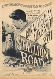 Stallion Road (1947)