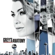 Grey&#39;s Anatomy Season 14