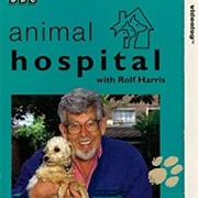 Animal Hospital