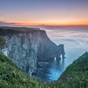 RSPB Bempton Cliffs Seabird Centre