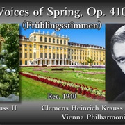 Strauss: Voices of Spring