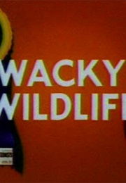 Wacky Wild Life (1940)