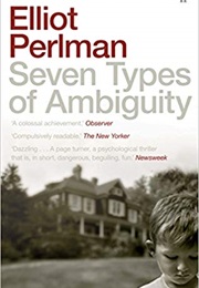 Seven Types of Ambiguity (Elliot Perlman)