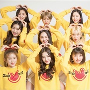 MOMOLAND