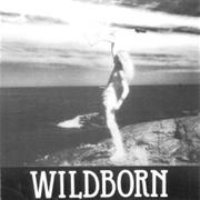 Wildborn - You Ain&#39;t Foolin&#39; Me