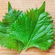 Shiso