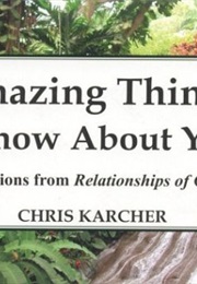 Amazing Things I Know About You (Chris Karcher)