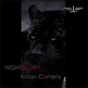Kirlian Camera- I&#39;m Not Sorry