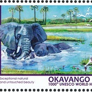 Botswana--Animals of the Okavango Delta - The 1000th UNESCO World Heritage Site