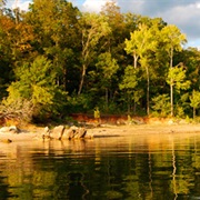 Occoneechee State Park, Virginia