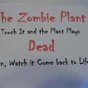 Zombie Plant