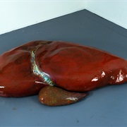 Whale Liver