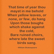&quot;Sonnet 73: That Time of Year Thou Mayst in Me Behold&quot; by William Shakespeare