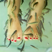 Thai Fish Spa