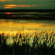 Benton Lake Wildlife Refuge