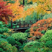 The Japanese Garden