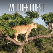 Wildlife Quest