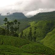 The Hill County, Nuwara Eliya, Sri Lanka