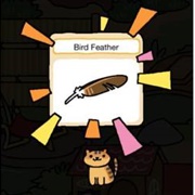 Bird Feather