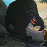 The Bear