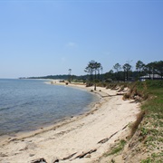 Dauphin Island, Alabama