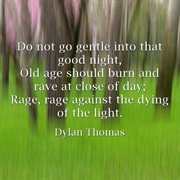 &quot;Do Not Go Gentle Into That Good Night&quot; by Dylan Thomas