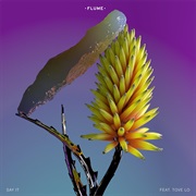 Say It - Flume Ft. Tove Lo