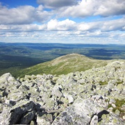 Hike Up to the Top of Trysil Mountain