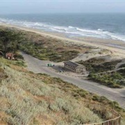 Sunset State Beach, California