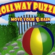 Move Your Brain Rollway Puzzle