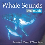 Whale Music