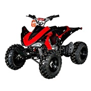 Quad Bike