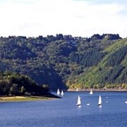 Nationalpark Eifel