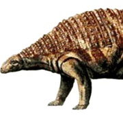 Nodosaurus