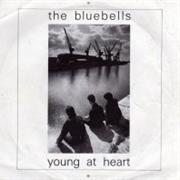 The Bluebells - Young at Heart