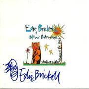 Edie Brickell and the New Bohemians