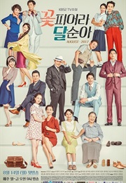 TV Novel - Dal Soon&#39;s Spring (Kdrama) (2017)