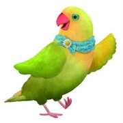 Mrs. Lovebird