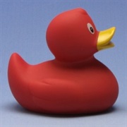 Red Duckie