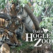 Utah&#39;s Hogle Zoo: