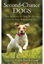 Second Chance Dogs: True Stories of the Dogs We Rescue and the Dogs Who Rescue Us (Callie Smith Grant)