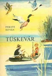 Tüskevár (István Fekete)