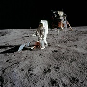 Moonquakes Exist