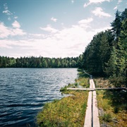 Sipoonkorpi National Park