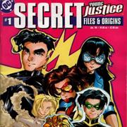 Young Justice Secret Files #1