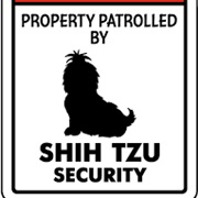 Shih Tzu Security