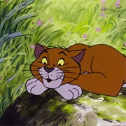 Thomas O&#39;Malley Cat