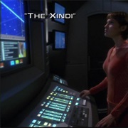 The Xindi